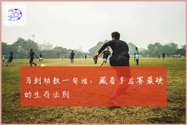 马刺助教一句话，藏着季后赛最硬的生存法则
